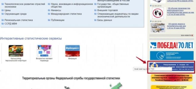 Как получить коды статистики по инн? — все о налогах
