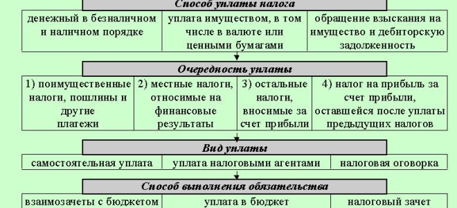 Узнайте, какую статотчетность и в какие сроки вы должны подать — все о налогах