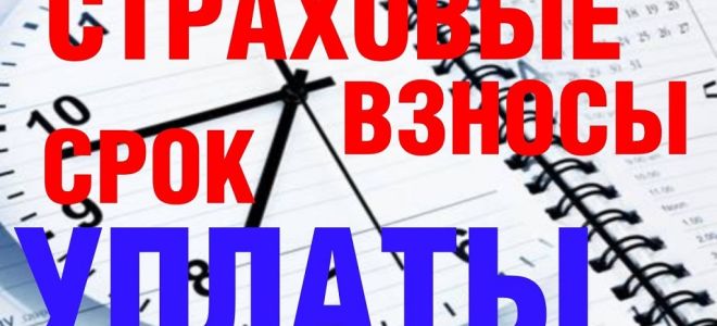 Если иностранец получил дивиденды, а затем стал резидентом рф, возврат ндфл производит налоговая инспекция — все о налогах