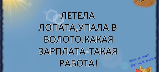 Летела лопата, упала в болото. какая зарплата — такая работа — все о налогах