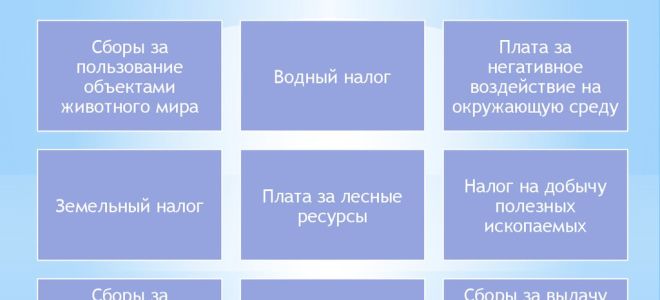 Экологические платежи могут уменьшиться — все о налогах