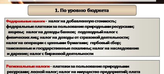 Какой срок хранения кадровых документов в организации? — все о налогах