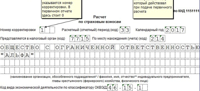 Фсс не принял пособия к зачету — подавать уточненный ерсв? — все о налогах