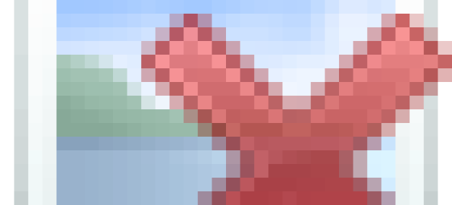 Проверьте действительность паспортов ответственных лиц — все о налогах