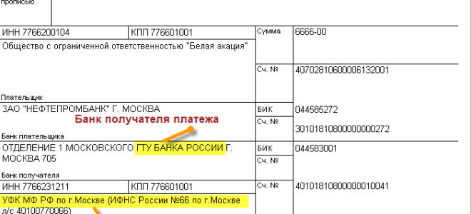 Фнс разработала правила оформления платежек при уплате налогов за третьих лиц  — все о налогах
