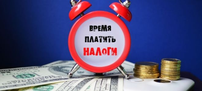 С компенсаций на питание можно не платить взносы — все о налогах