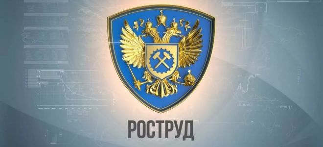 Росстат утвердил новую форму годовой отчетности — все о налогах